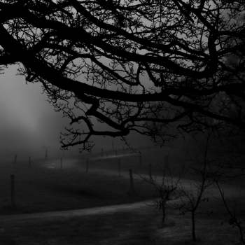 Wander