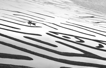 Boating in the labyrinth