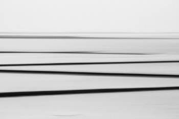 The Wadden Sea