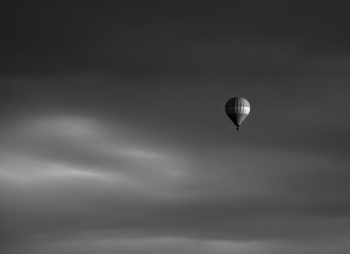 Fly High