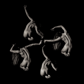 Melanomorphae Femina