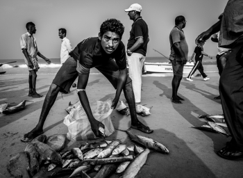 A Dying Tradition: The Story of the Fisher Folk in Dehiwela, West Coast, Sri Lanka