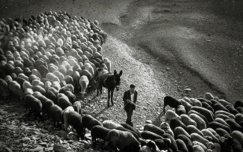 Rural life