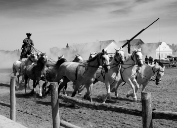 Magyar Equestrine