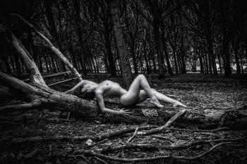 A Perfect Body - My personal Vision in B&W