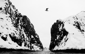 Antarctic landscape