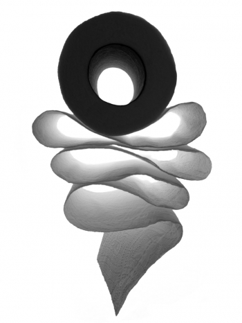 Toilet Paper