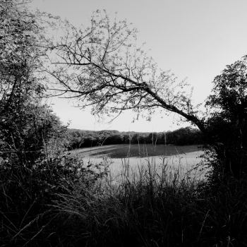 Les Causses de Quercy