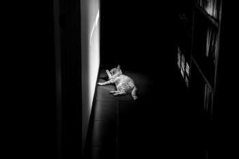 Transmissions From a Lonely Room
