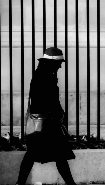 The Railings