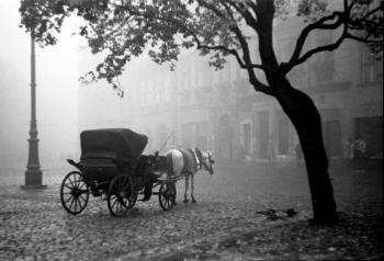 Old Krakow on a foggy day