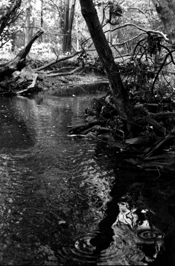 Life Blood : Ohio Rivers