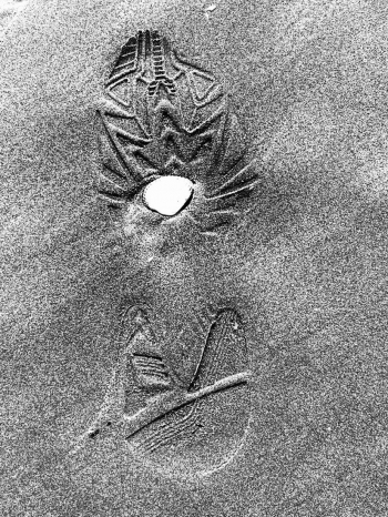 Beach born