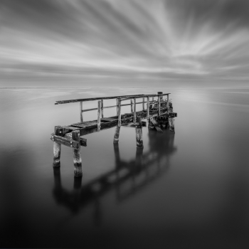 Into The Light