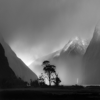 Alpine light 