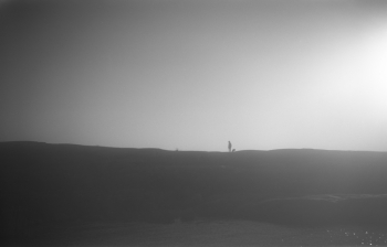 Human with a dog