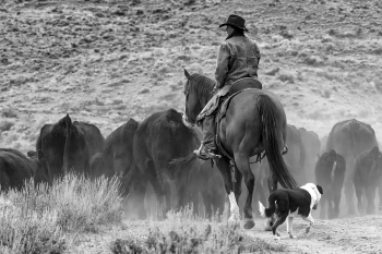 Wyoming and Montana Cowgirls, The Legend made Women