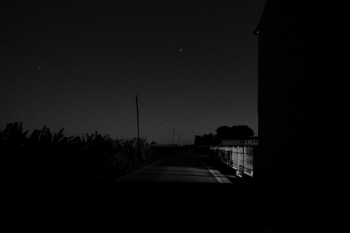 countryside in dim light