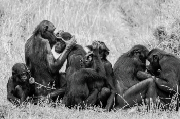Family - Taking care