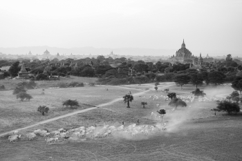 Landscapes