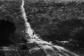 The scorpion Mine - A human story