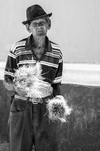 Man with Flowers