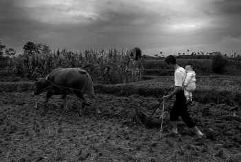 Left-behind grandfather and grandson