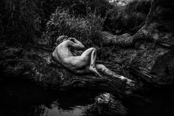 Wild & Sacred