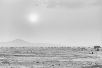 Africa Savanna - 1987