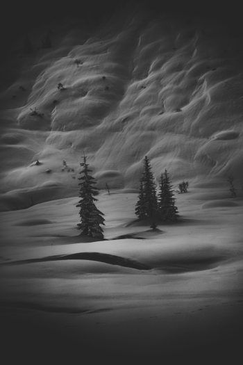 Snow Waves