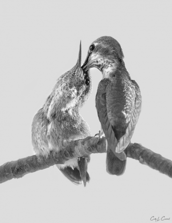 Mother and Child