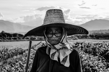Working Class: Chiang Mai, Thailand