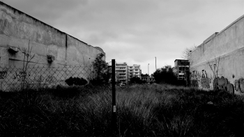 Interior landscapes 