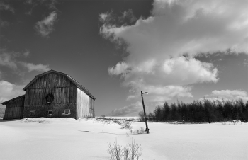 Our cold winter days.