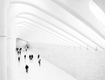 Transport Cathedral