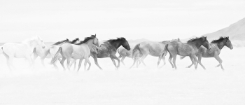 Dancing with the Wind