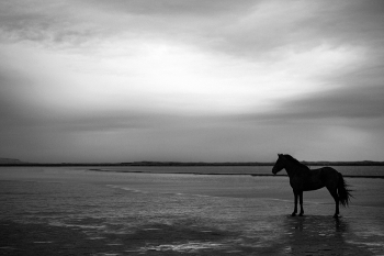 Freedom