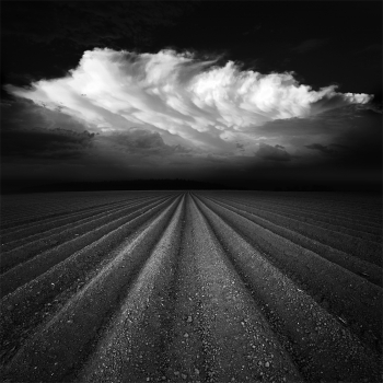 Fields under the sky