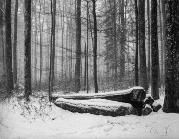 winter