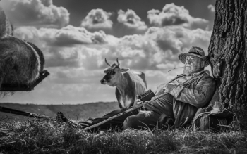 Idyll