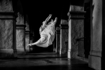 Fly High 