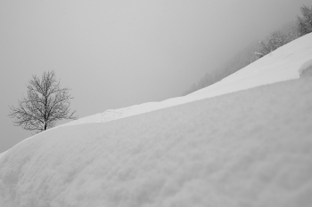 Sneachta, Schnee, Snow . . .