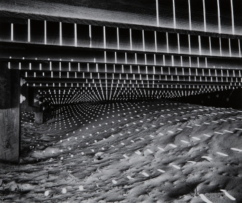 Light Under the Boardwalk
