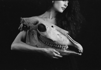 Equus