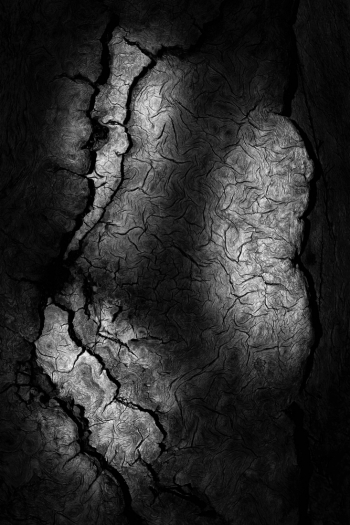 Pattern of Time