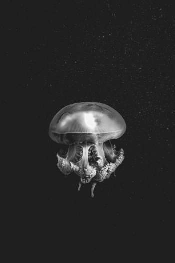 A Spacy Story 