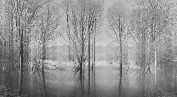 In the Floodplains