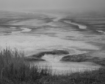 Extraordinary Wetlands