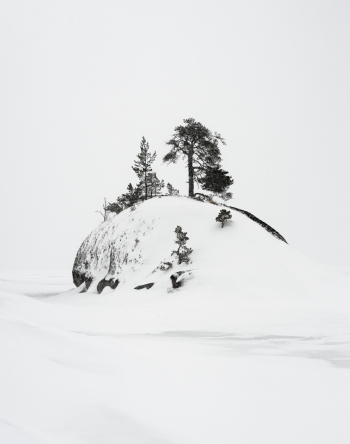 Ladoga
