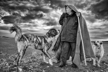 The Last Shepherd